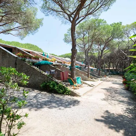 Aviotel Resort 3*